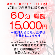 \[vh am9:00`11:00 lbgwEt[̂ql60z15000~