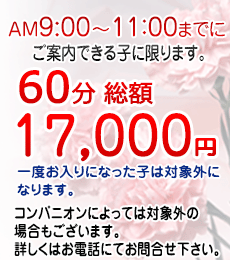 ������\�[�v�����h am9:00�`11:00 �l�b�g�w���E�t���[�̂��q�l����60�����z15000�~